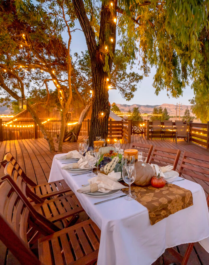 A catered dinner set on the estate's steel treehouse platform among the branches