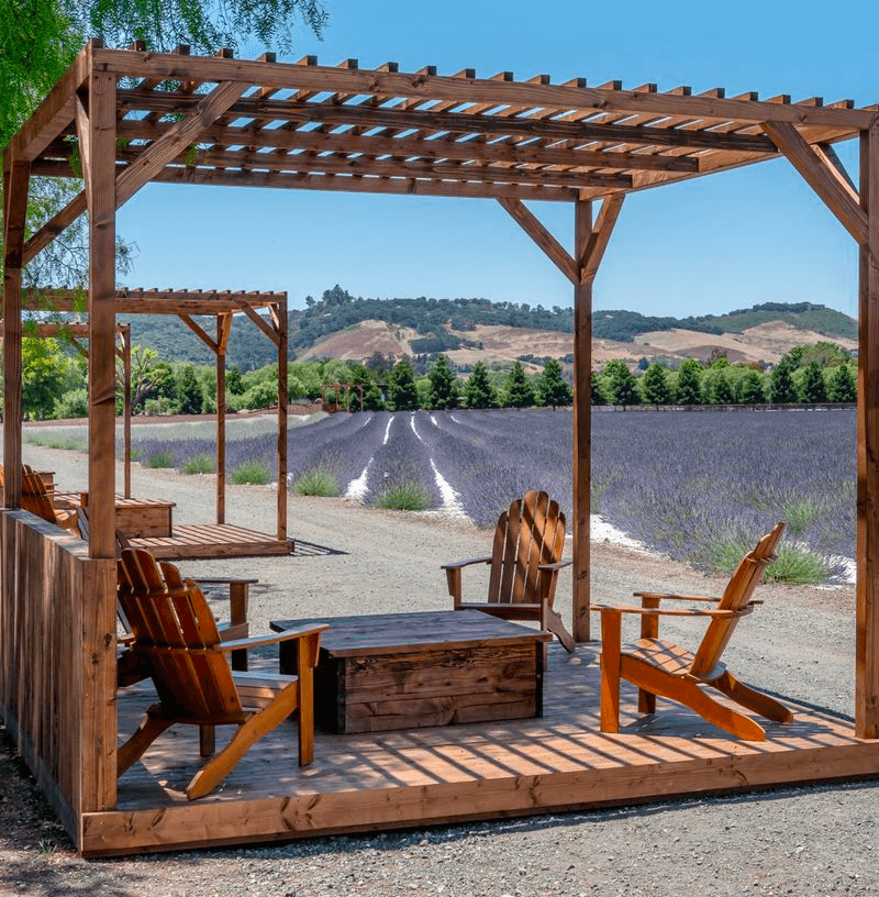 Shaded picnic bungalows beside the blooming lavender fields