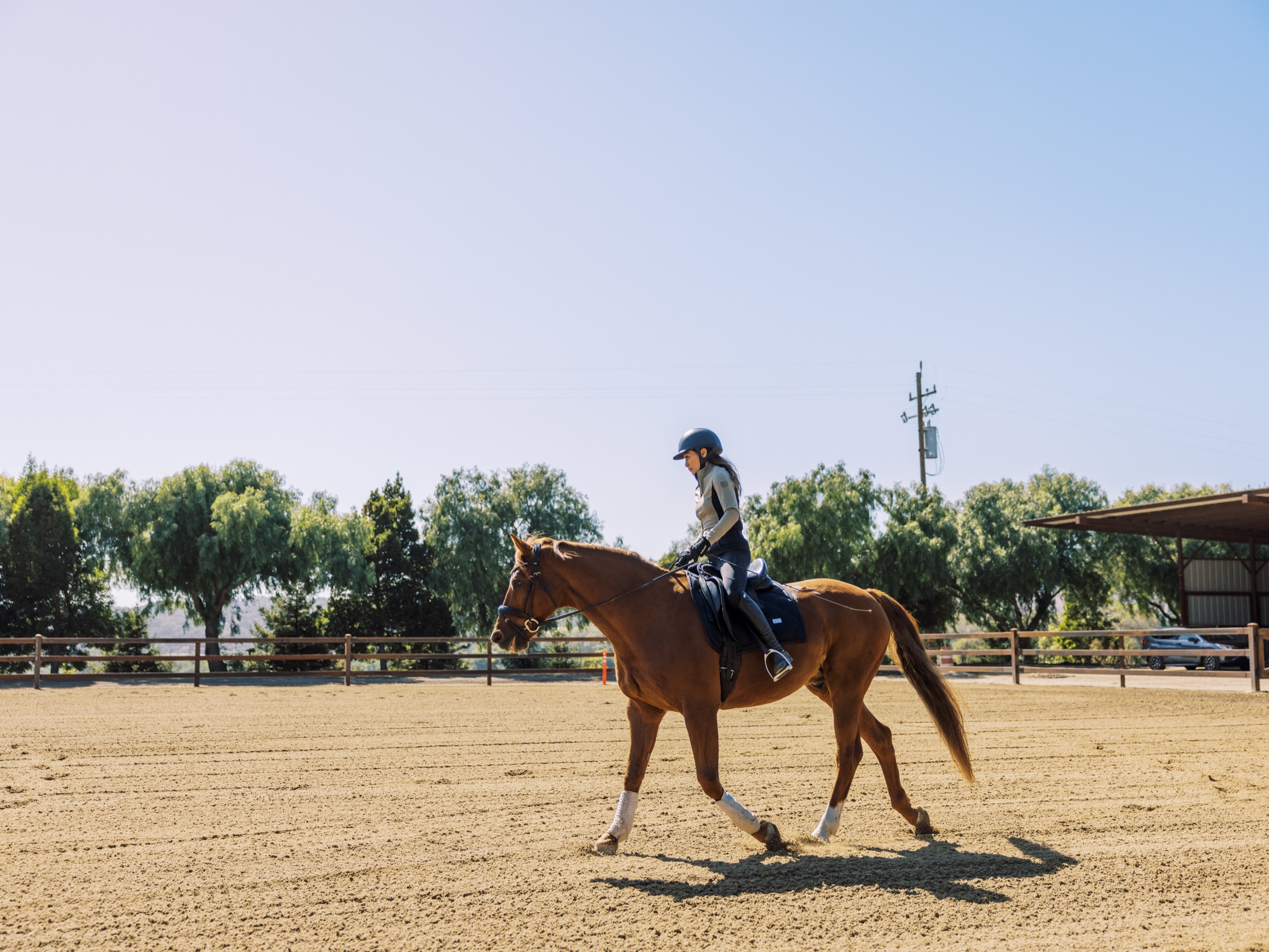 A rider schooling a chestnut horse in the sunlit arena