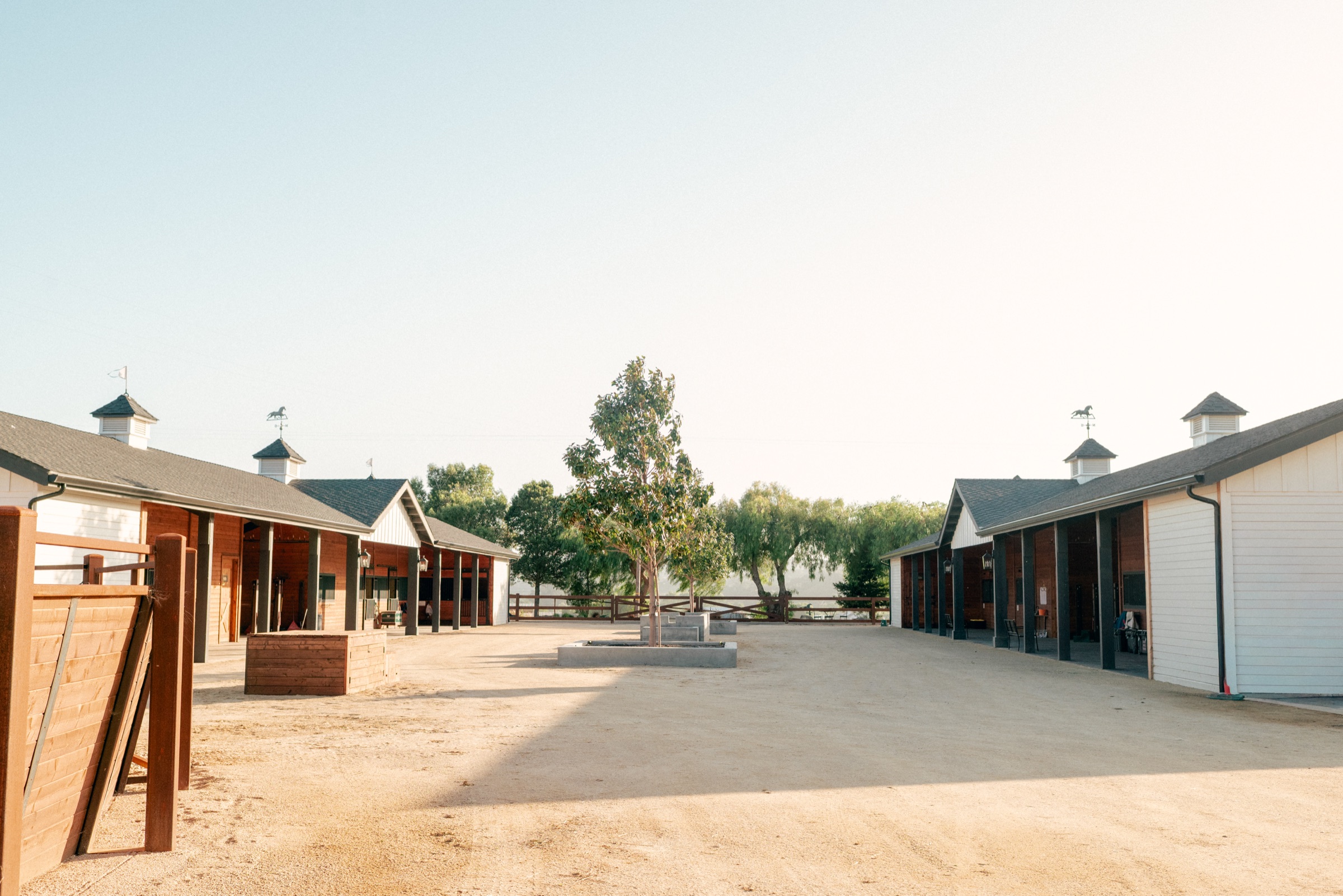 The sunlit stable courtyard of the Equestrian Center, weathervanes atop the barns