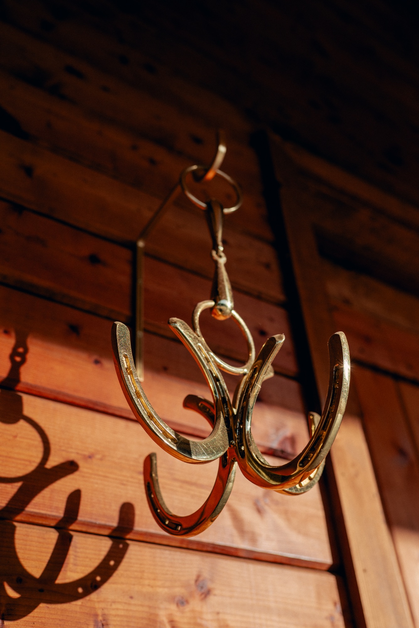 Polished brass horseshoe tack hooks catching the afternoon light