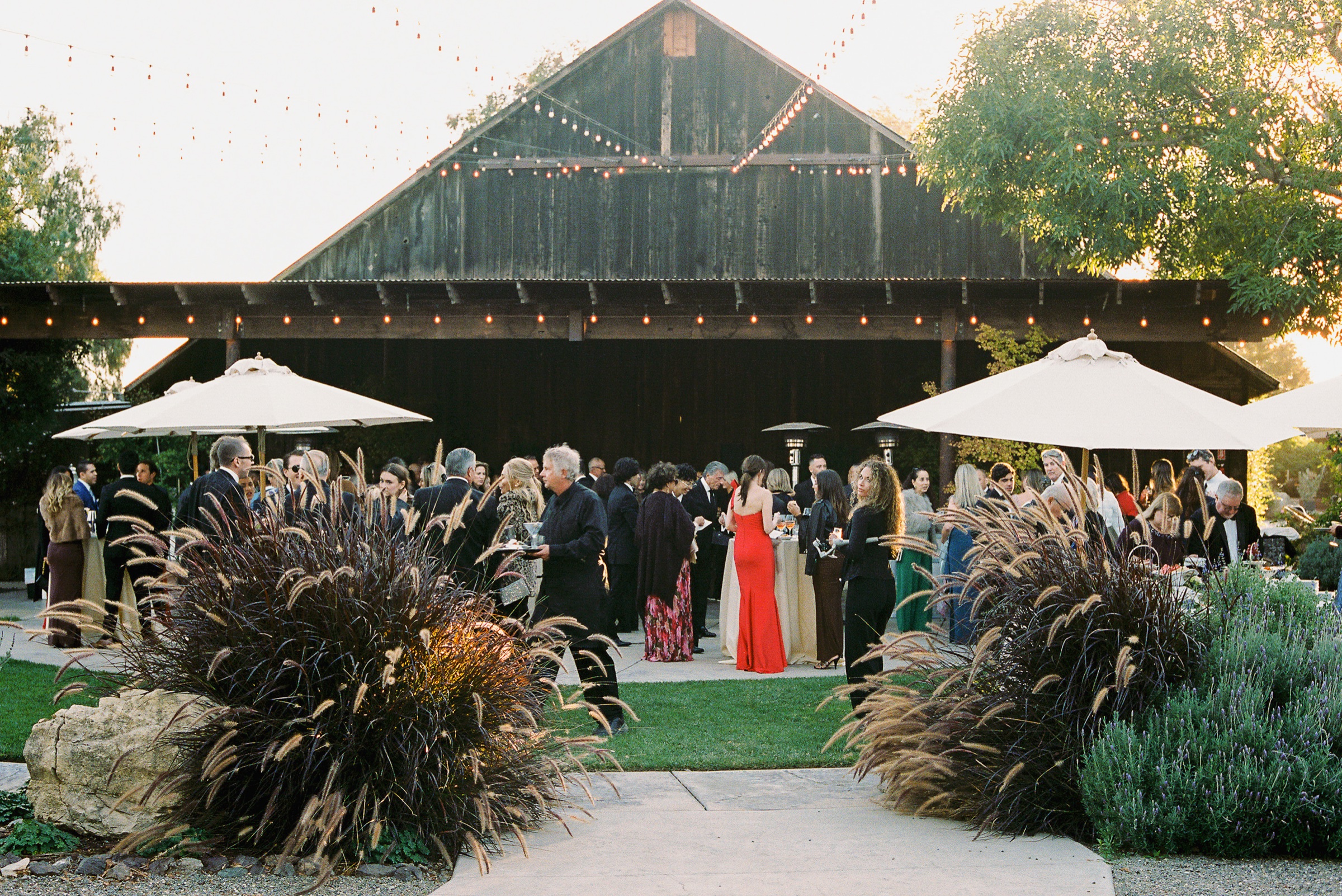 Guests gathered for a golden-hour cocktail reception before the string-lit barn