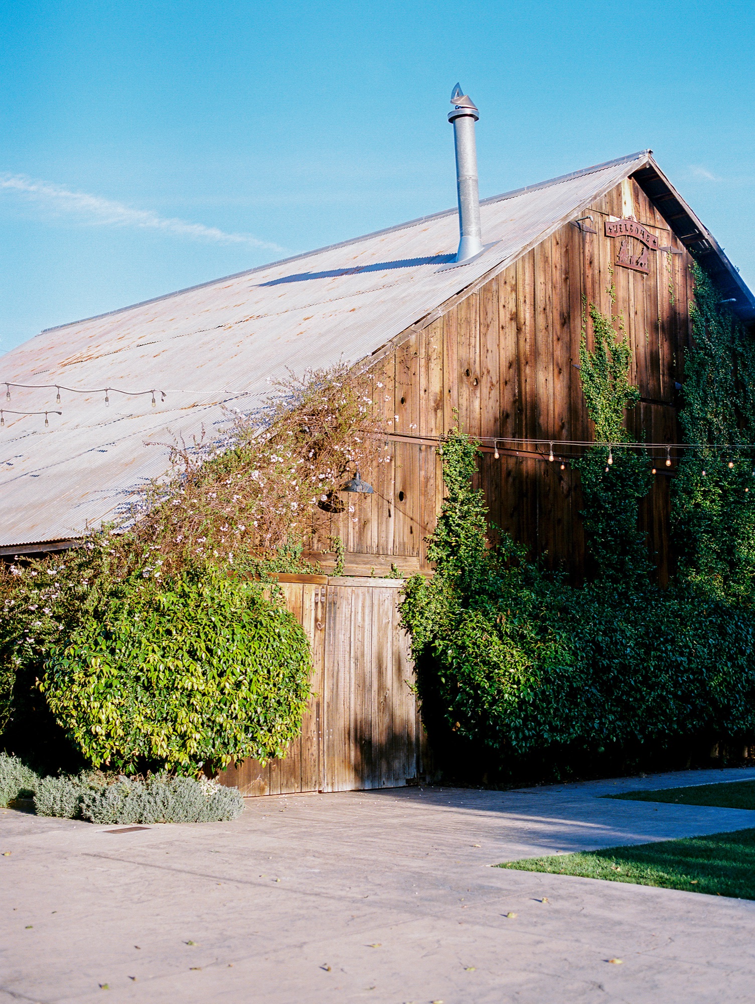 The ivy-covered Cavalli barn under a clear blue sky