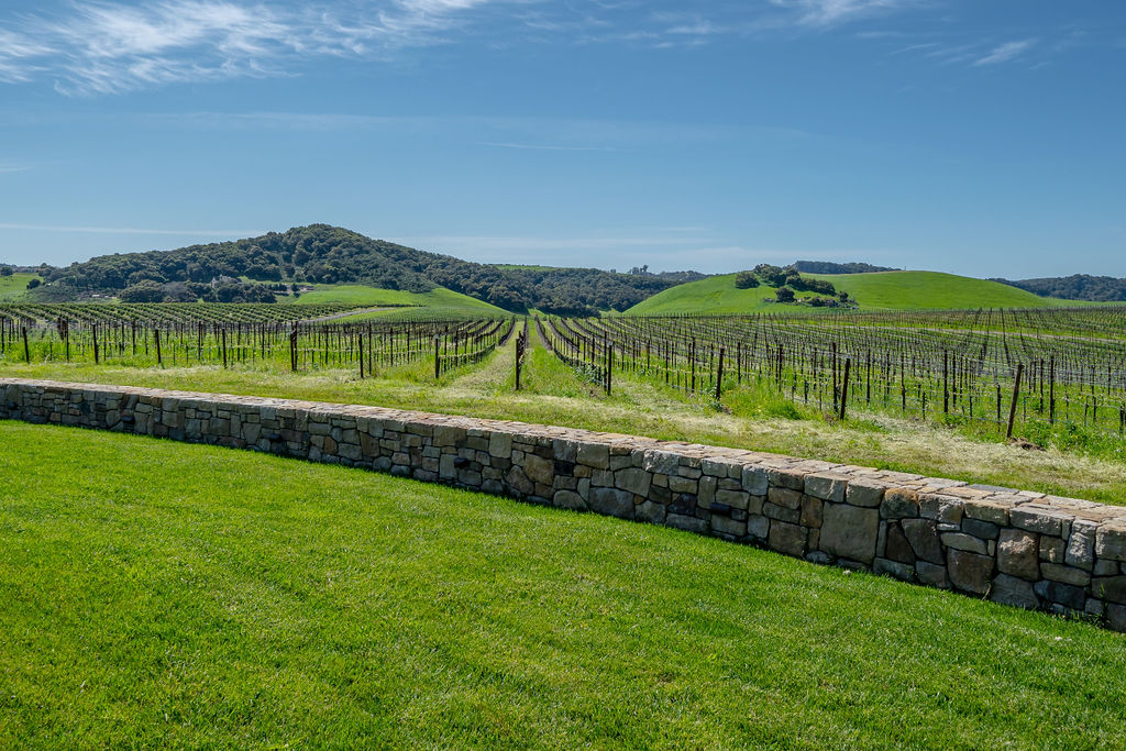 Vineyard House exterior, view 19 of the grounds, pool, decks, and vineyards