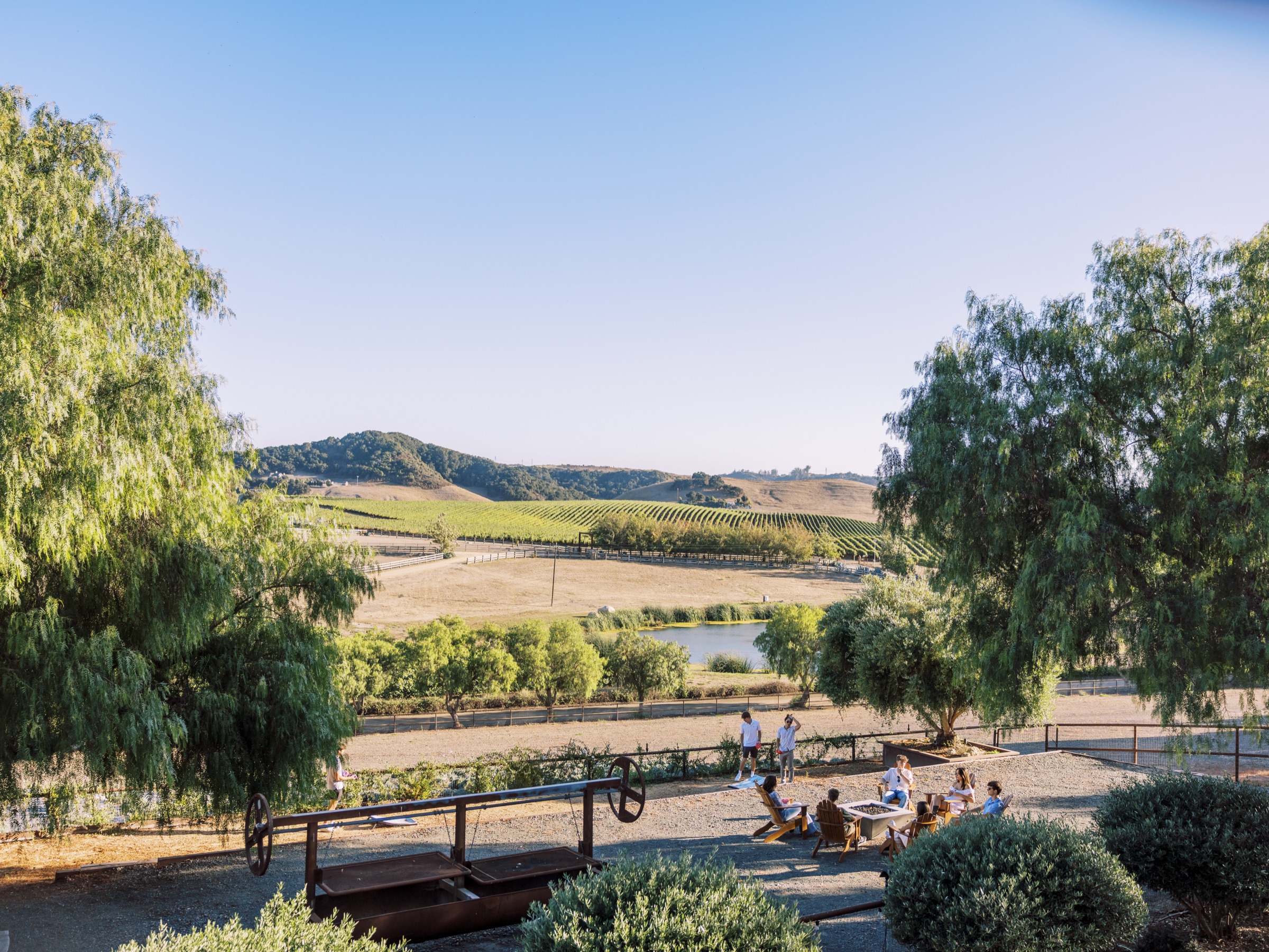 Guests gathered at the fire circle above the estate pond, vineyards climbing the hills beyond