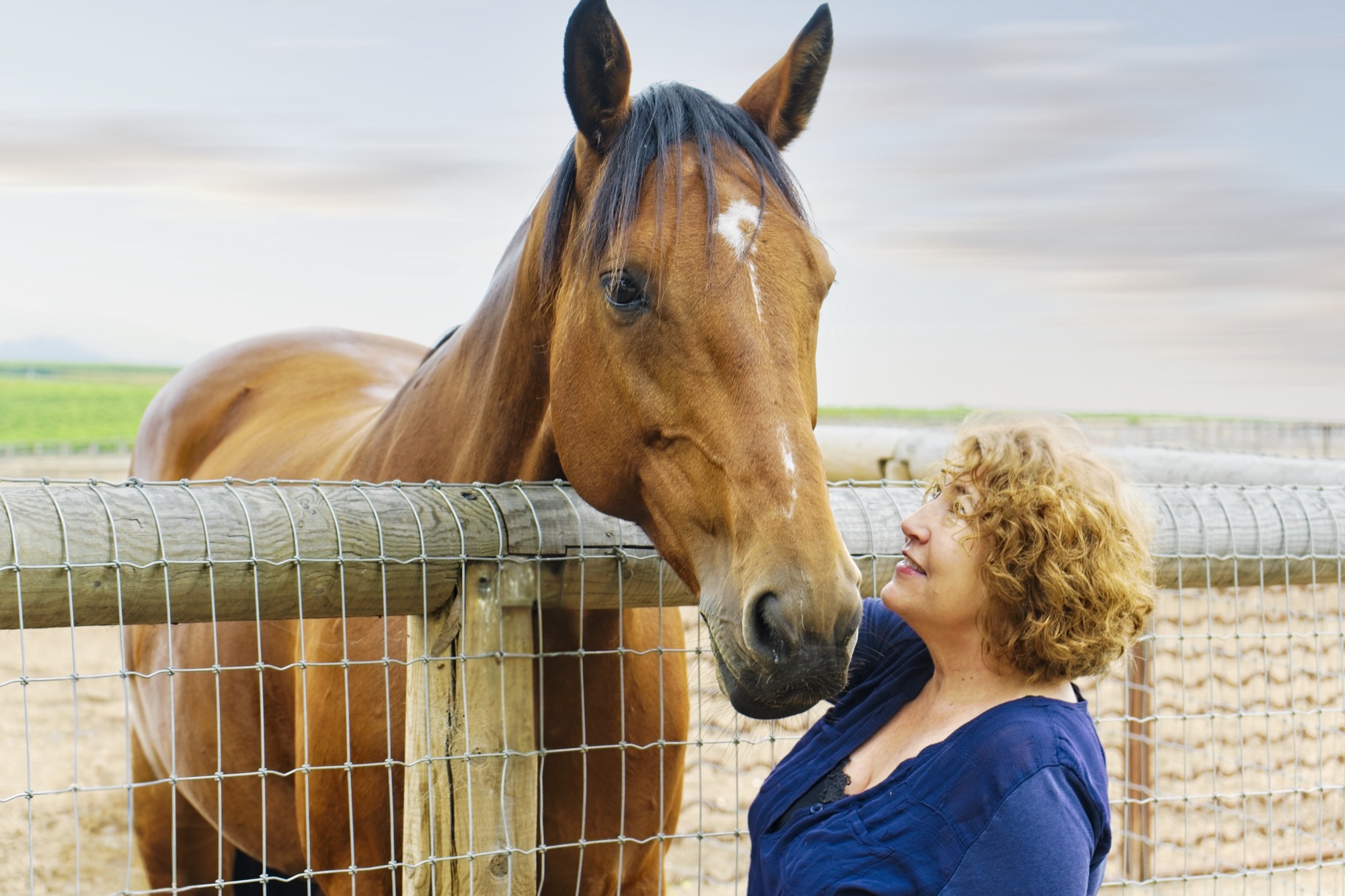 A visitor sharing a quiet moment with one of the estate's horses at the fence