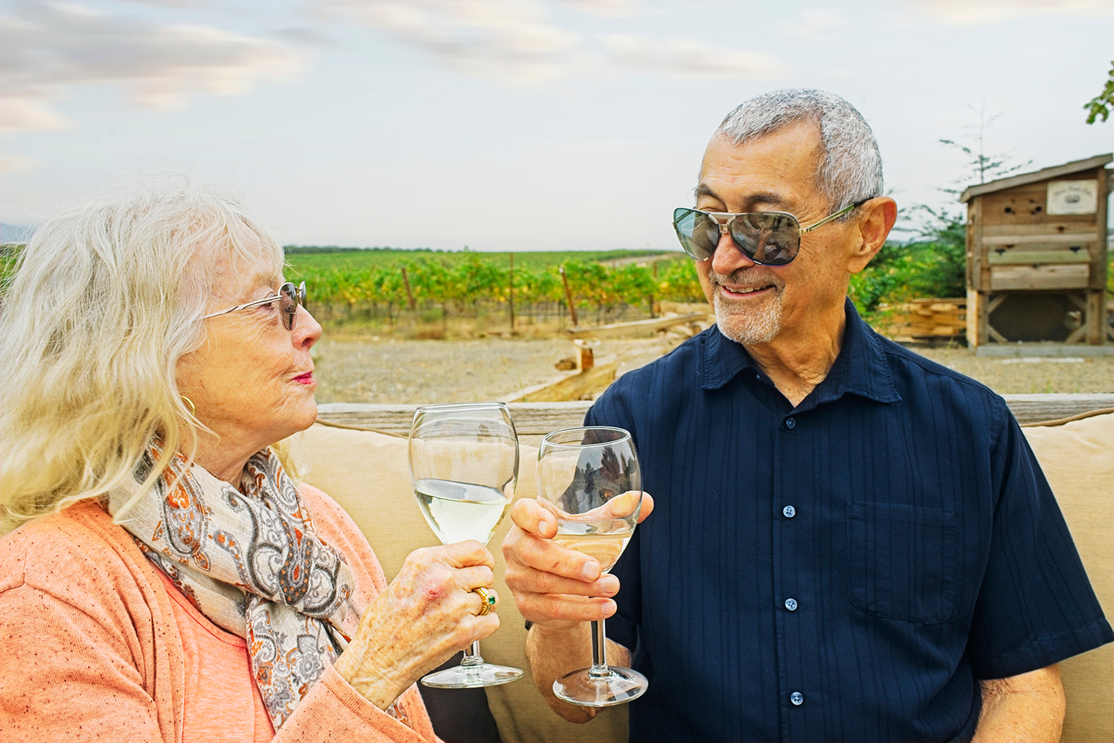 Two guests toasting with glasses of white wine beside the Edna Valley vines